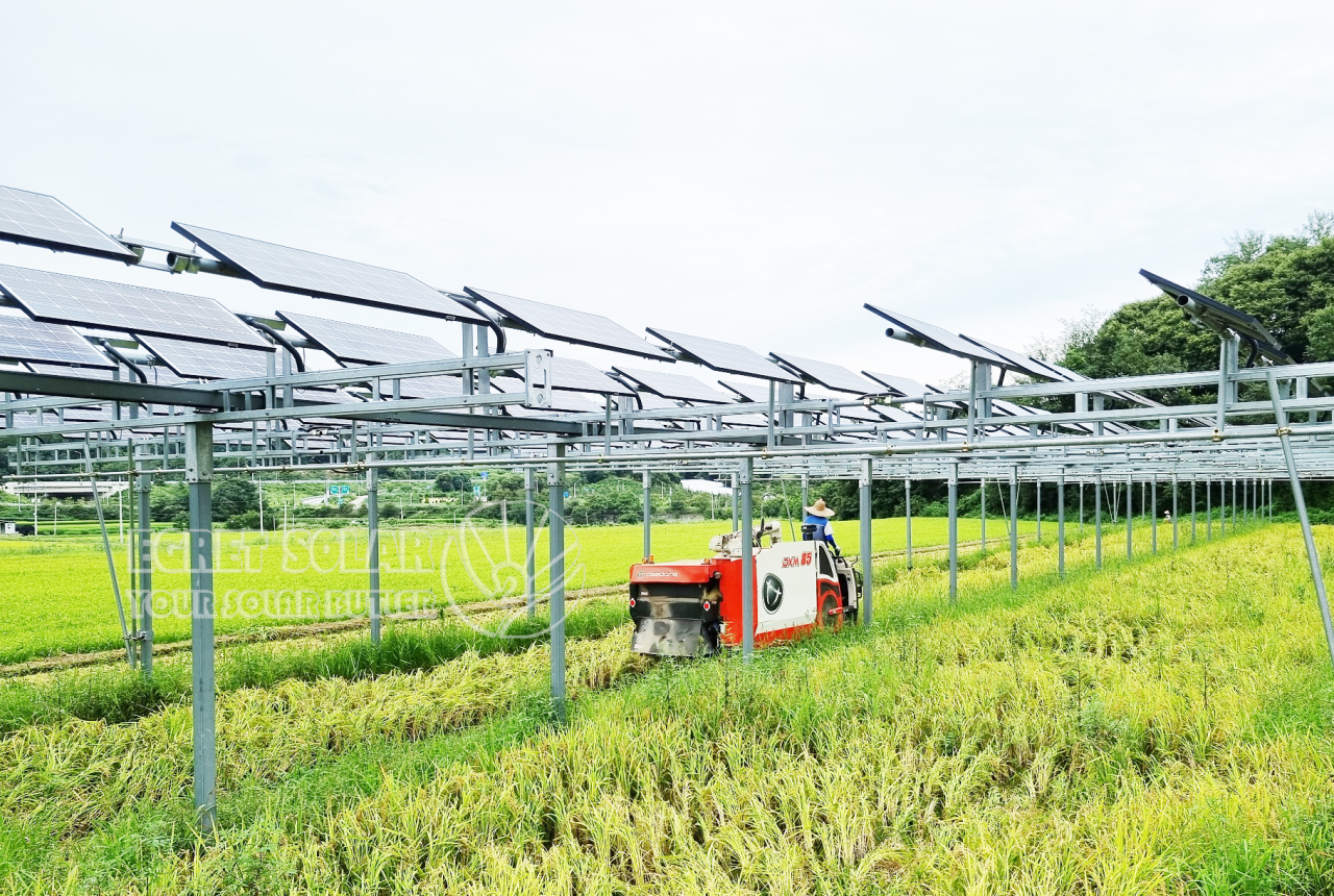 Ang Aluminum Solar Agriculture Mounting ay Nagtutulak ng Sustainable Agricultural Development